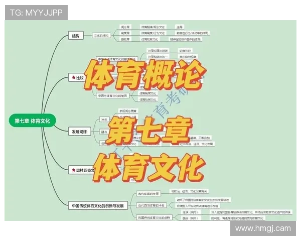探索K1体育的世界：从基础训练到高级比赛的完整指南